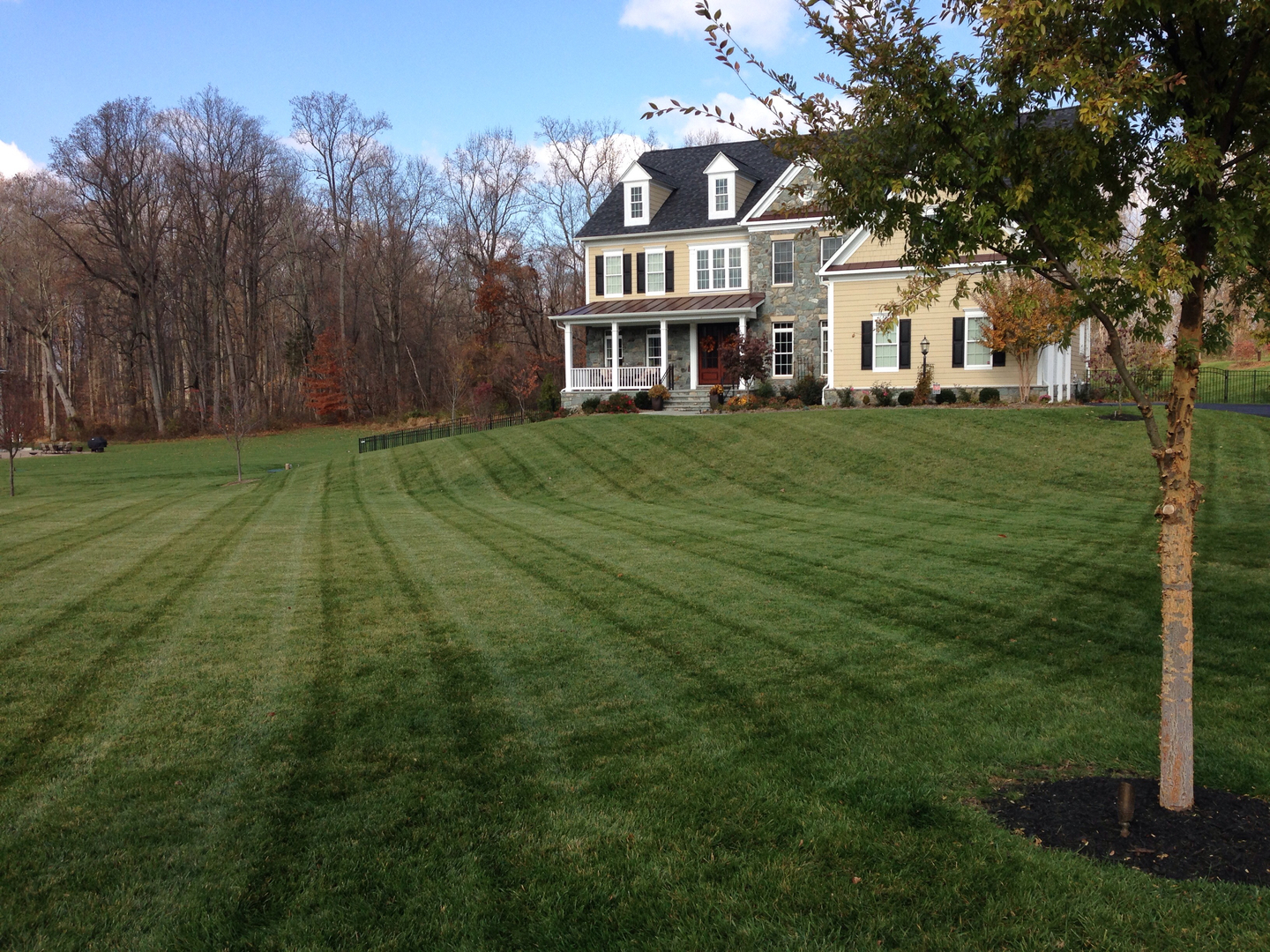 Learn how to keep your grass healthy and green year-round.