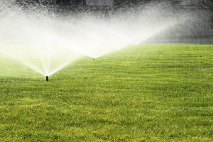 water on your lawn