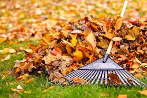 fall yard cleanup checklist