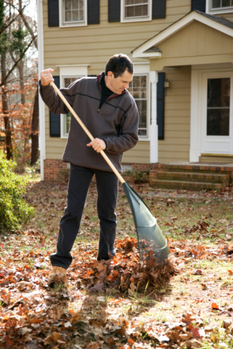 Why You Should Hire a Professional Leaf Removal Service