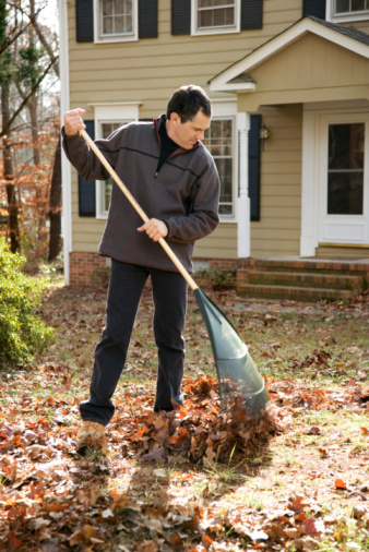 leaf-removal