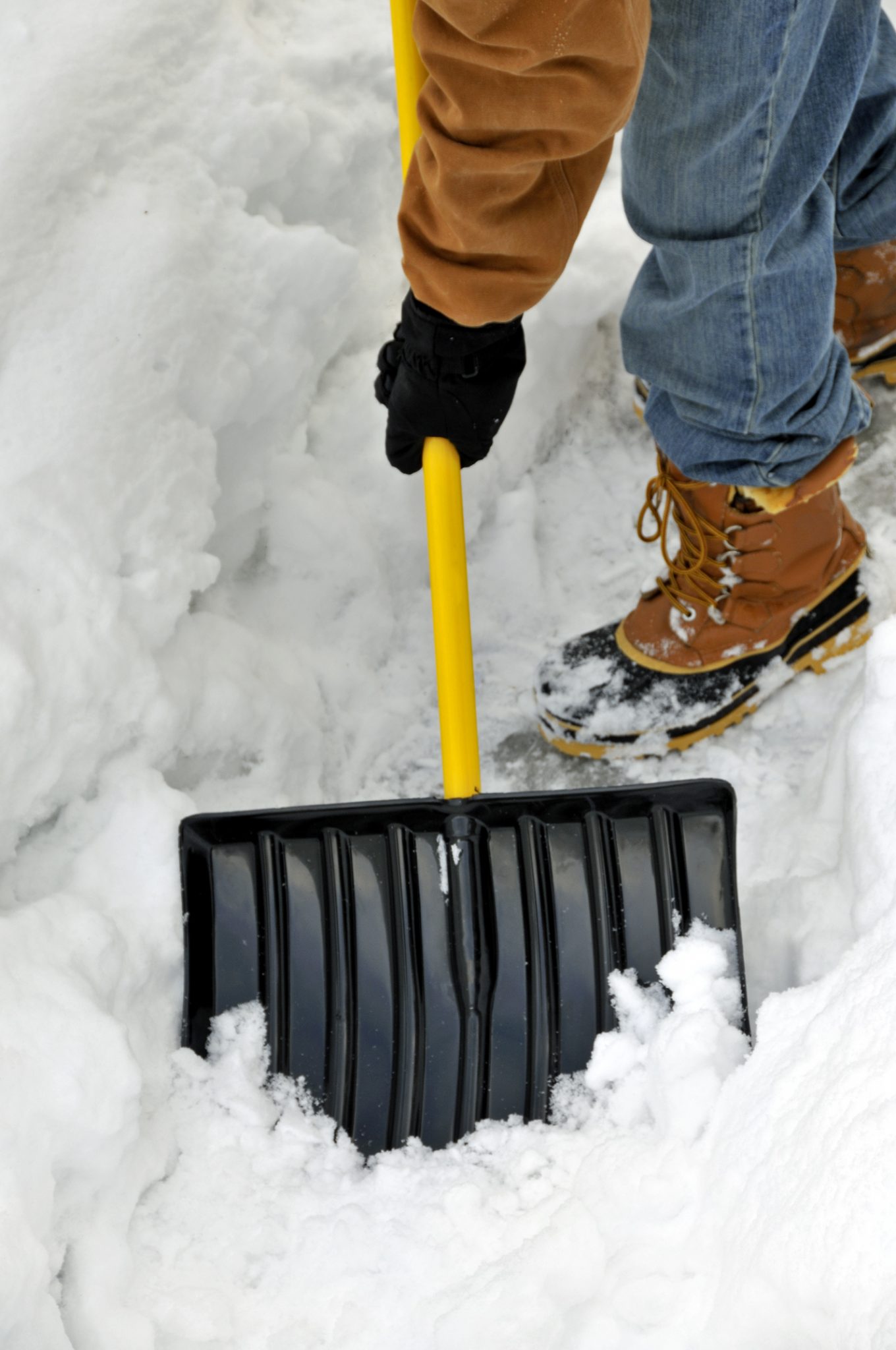 Learn about snow removal and how to protect your landscape.
