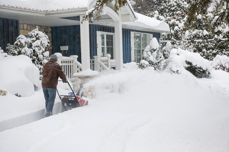 winter landscaping