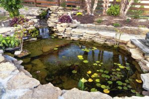 How to Take Care of a Garden Pond