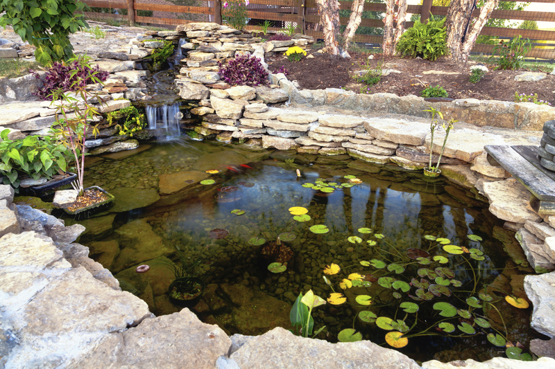 Check out these benefits of adding a backyard pond to your landscape.
