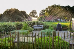 Irrigation for Your Maryland Garden