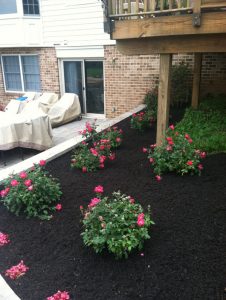 Different Types of Mulch