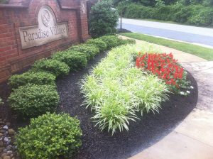 Ideas for Commercial Landscaping Design