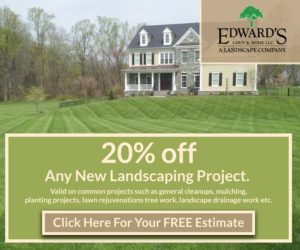 Lawn Care Services by Edward’s Lawn & Home