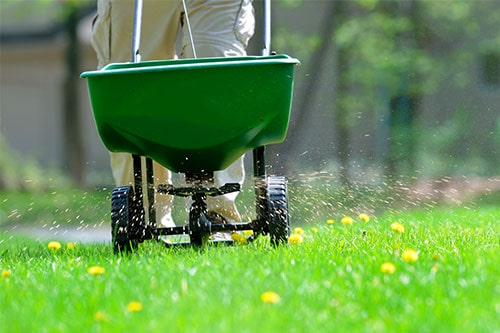 Lawn Fertilization