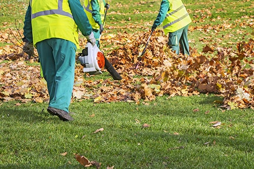 Leaf Removal - Edward's Lawn & Landscaping