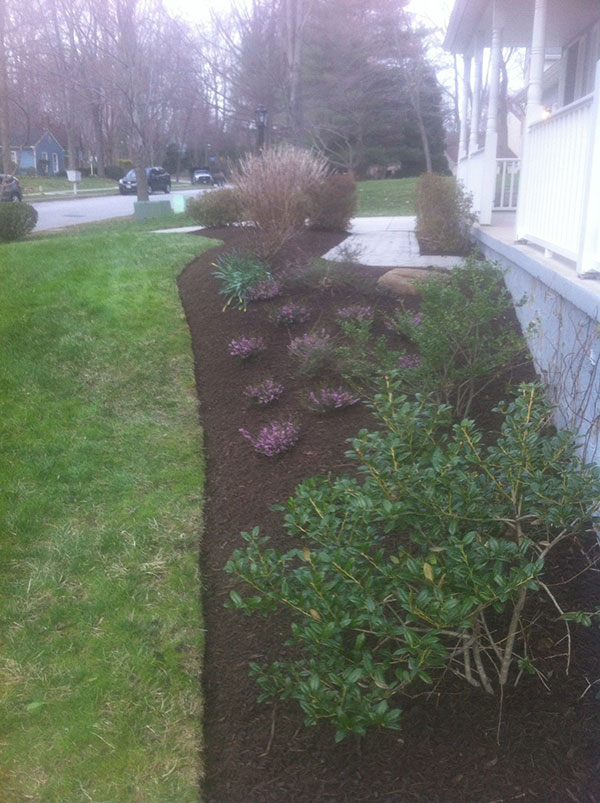 Mulching in Front Yard of Residential Home