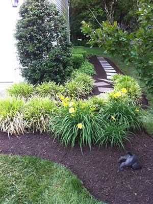 Residential Home Cleanup and Mulching