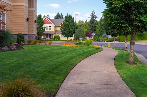 Freshly Mowed Grass on Residential Property