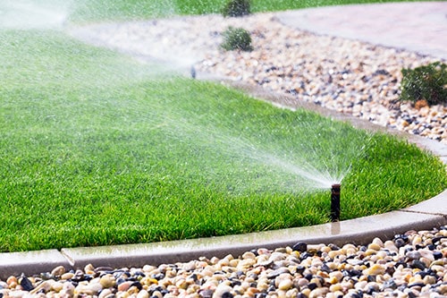 Lawn Watering