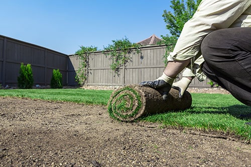 Sod Installation for New Lawn