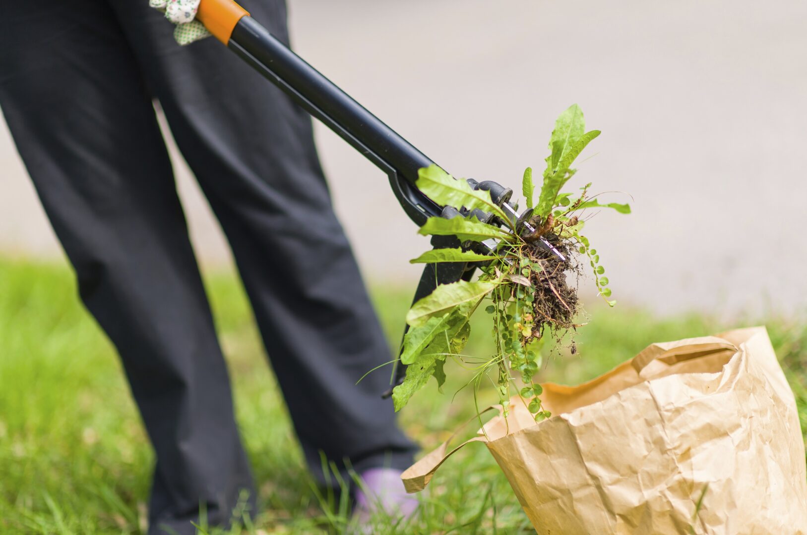 Edward's Lawn & Landscaping: Landscaping Howard & Anne Arundel County, MD