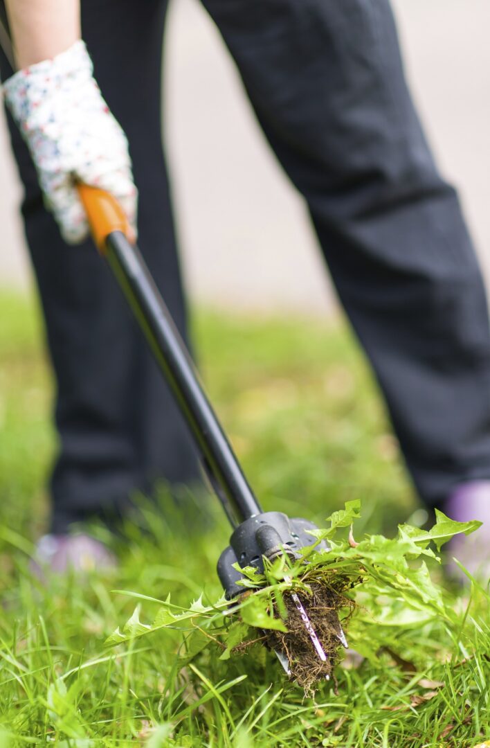edward's lawn and landscaping your lawn