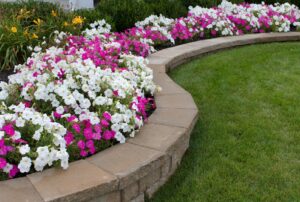 edward's lawn & landscaping how proper plant placement influences commercial landscaping