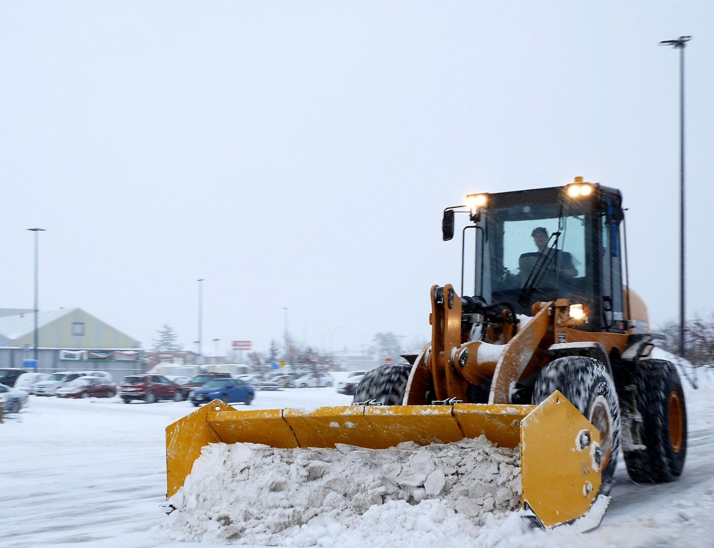 Ways To Protect Your Hoa Landscaping Areas From Snow Removal Damage