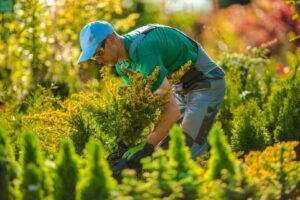 edward's lawn & landscaping commercial property maintenance