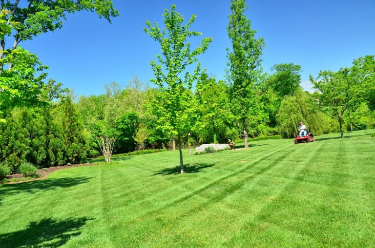What Maintenance Do You Need After a Commercial Landscape Installation? edwards lawn & landscaping