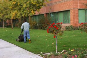 edward's lawn & landscaping commercial landscape maintenance pricing
