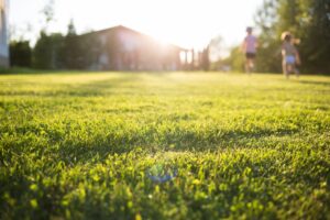 edward's lawn & landscaping low-maintenance landscaping tips