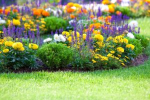 edward's lawn & landscaping commercial property summer maintenance