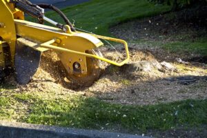 edward's lawn & landscaping stump grinding