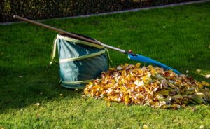 edward's lawn & landscaping leaf removal