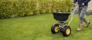 edward's lawn & landscaping lawn cleanup