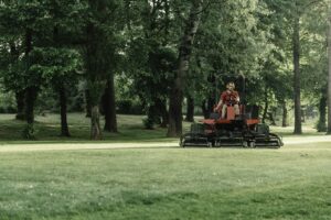 edward's lawn & landscaping landscape maintenance