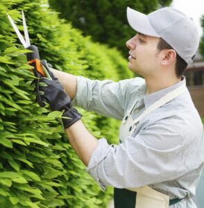 edward's lawn & landscaping commercial property landscaping