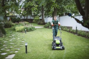 edward's lawn & landscaping lawn care program