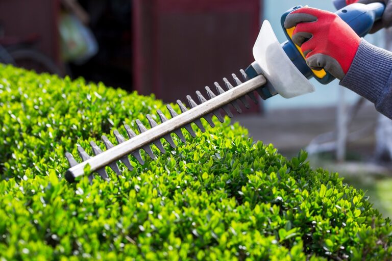 edward's lawn & landscaping spring yard cleanup service