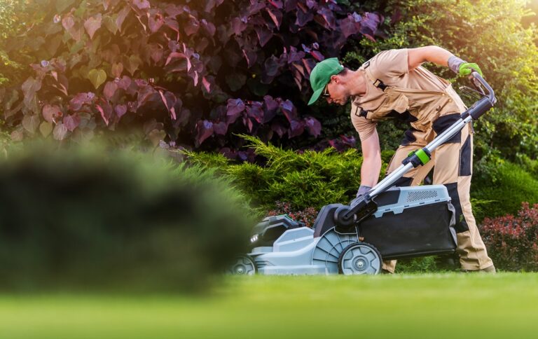 edward's lawn & landscaping lawn mowing company