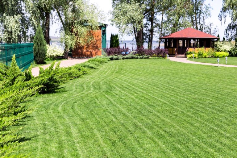 edward's lawn & landscaping spring lawn cleaning
