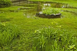 edward's lawn & landscaping eliminating puddles from your lawn
