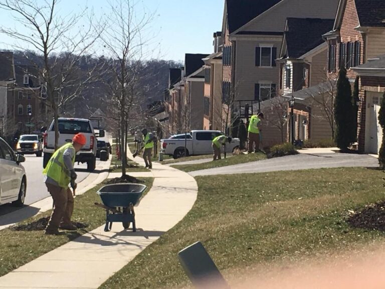 Edward's Lawn & Landscaping Consistent Grounds Maintenance reflects on Business