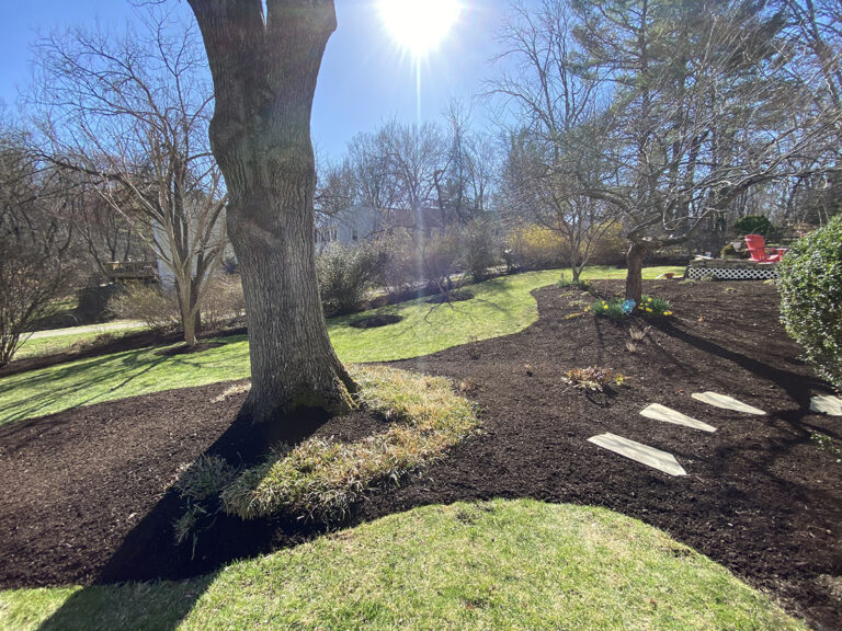 Edward's Lawn & Landscaping Mulch Varieties Garden's Ecosystem