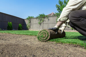 Edward's Lawn & Landscaping Sod Installation and Seeding in Ellicott City, MD