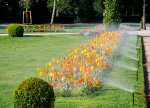Edward's Lawn & Landscaping Commercial Property: Planting Spring Annuals