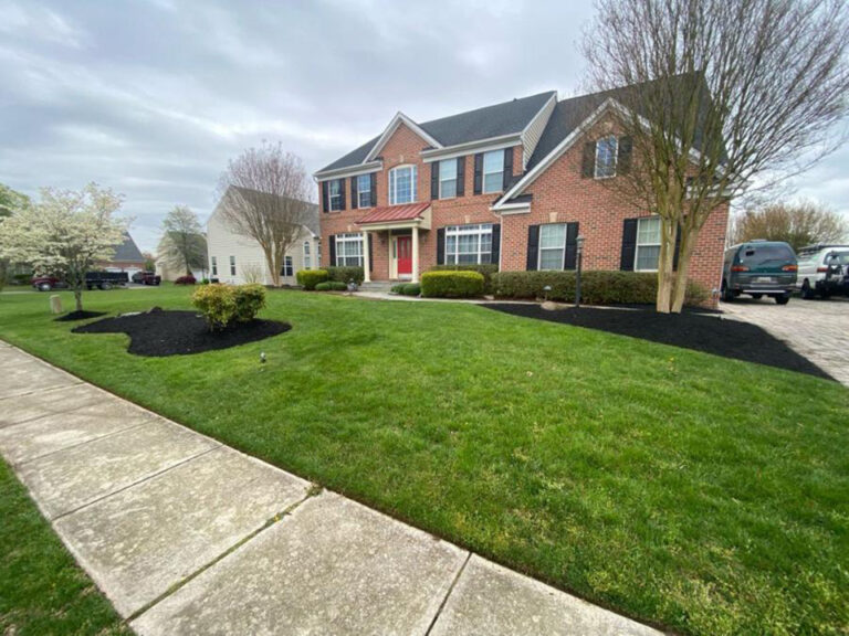 Edward's lawn & Landscaping Spring Property Cleanup