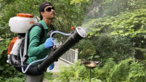 Edward's Lawn & Landscaping Mosquito and Tick Control Applications