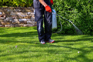 Edward's Lawn & Landscaping Lawn Fungicide Application in Dayton, MD