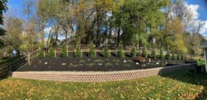 Edward's Lawn & Landscaping How to Select the Perfect Trees and Shrubs for Your Property