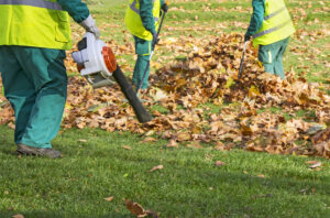 Edward's Lawn & Landscaping Professional Leaf Removal Services in Ellicott City, MD