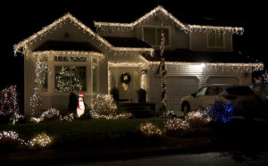 Edward's Lawn Professional Holiday Lighting in West Friendship, MD