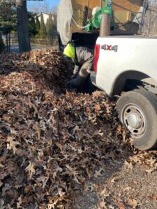 Professional Leaf Removal Services in West Friendship, MD